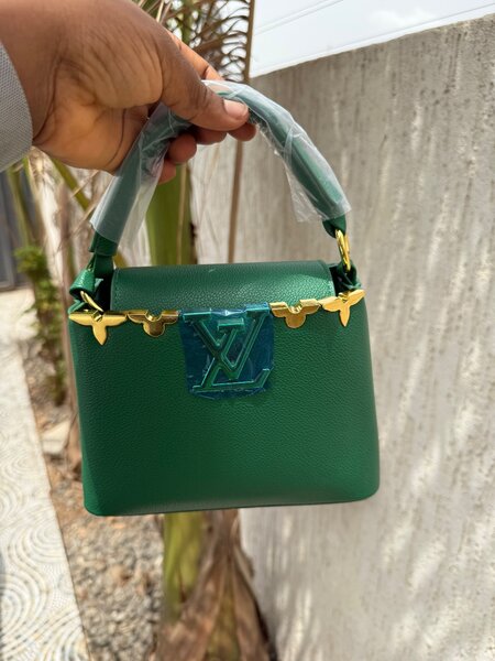 Lious Vuitton bag