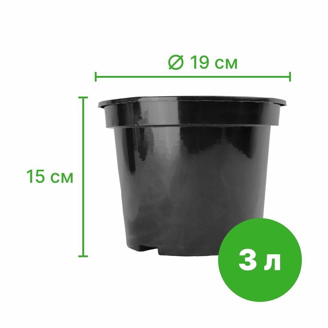 С3 D19 высота 15