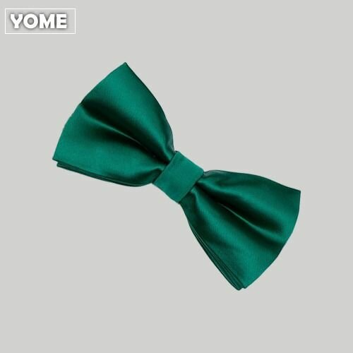 Noeud Papillon en Satin