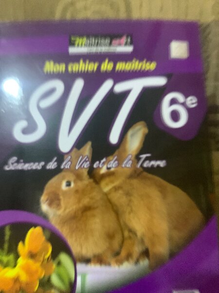 Cahier SVT 6e