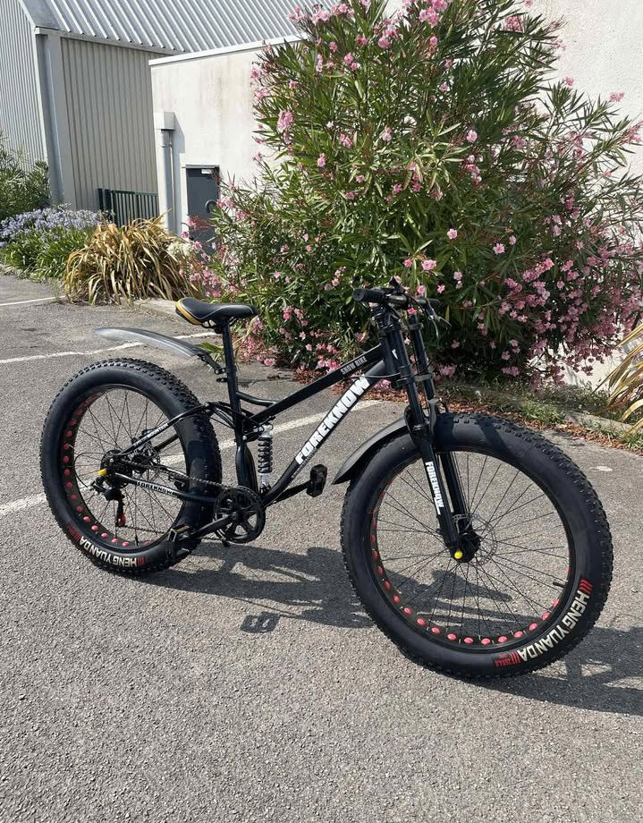 Vélo Fat Bike Tout-Terrain