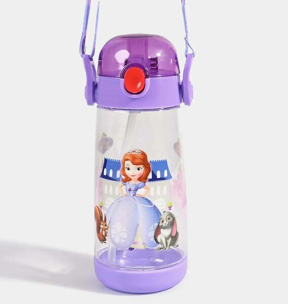 Gourdes la reine des neiges