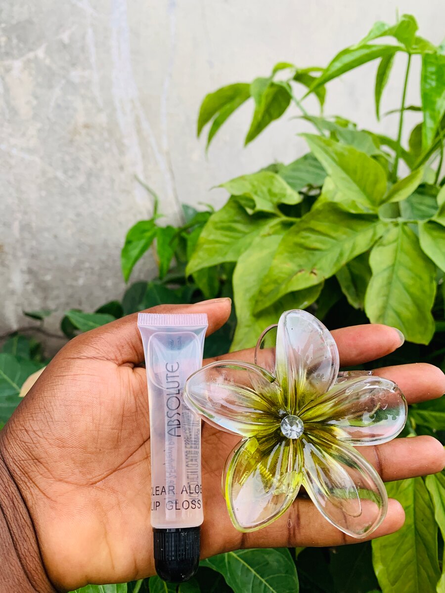 Brillant à lèvre et pince