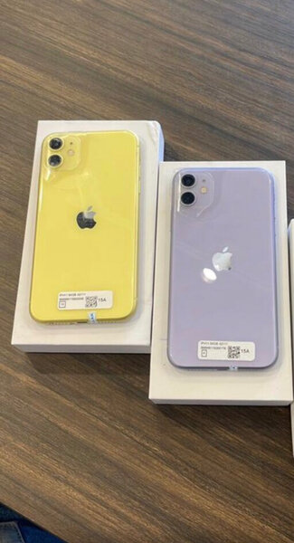 iPhone 11 - Couleurs Variées