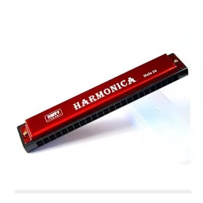 Harmonica 24 Trous Pro