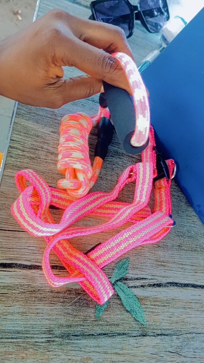 Laisse réfléchissante pour chiens