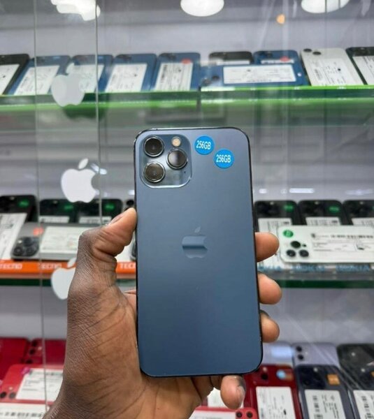 iPhone 12 Pro 256GB Bleu