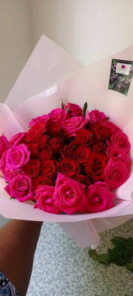 30 Pink Roses