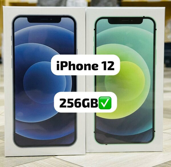 iPhone 12 256 Go