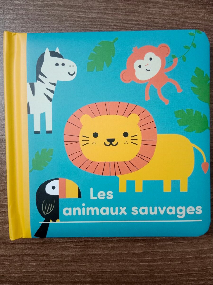 Lot de Livres Éducatifs