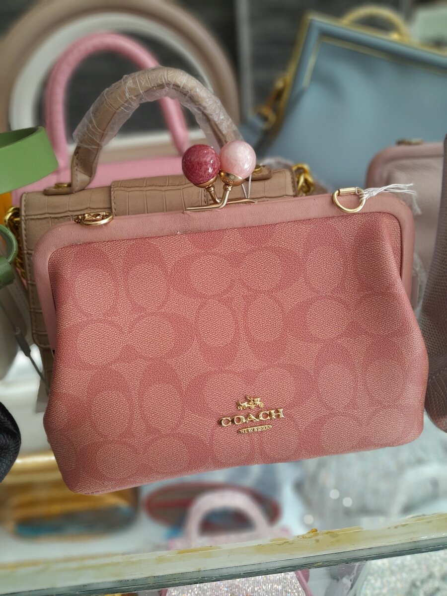 Coach bag