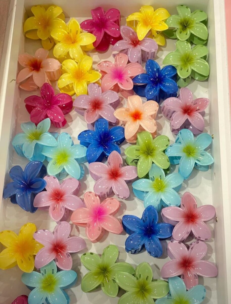 Pinces à cheveux fleurs colorées