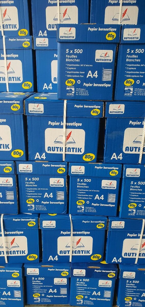 Papier Authentik A4 80g