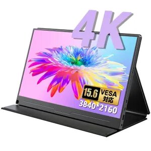 Moniteur Portable 15 Pouces