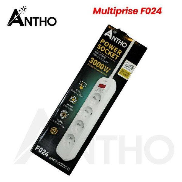 Multiprise Électrique Antho F024