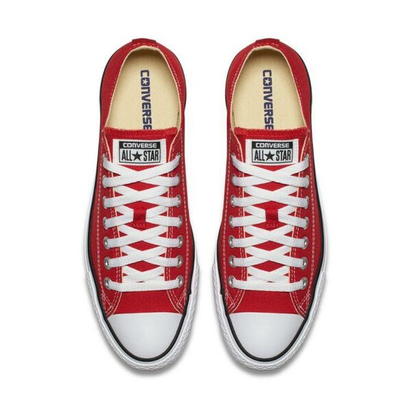 All star converse Chuck Taylor