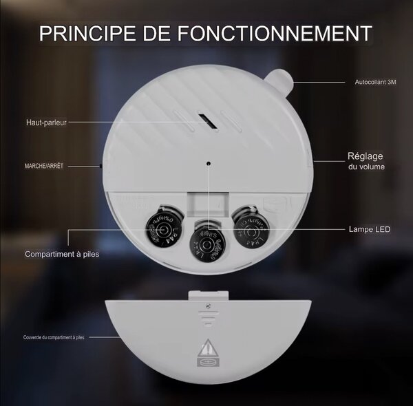 Détecteur de vibration