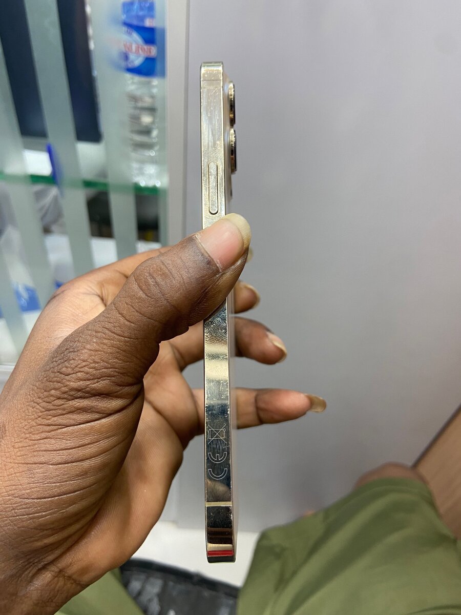 13 Pro Max 256Go avec carton