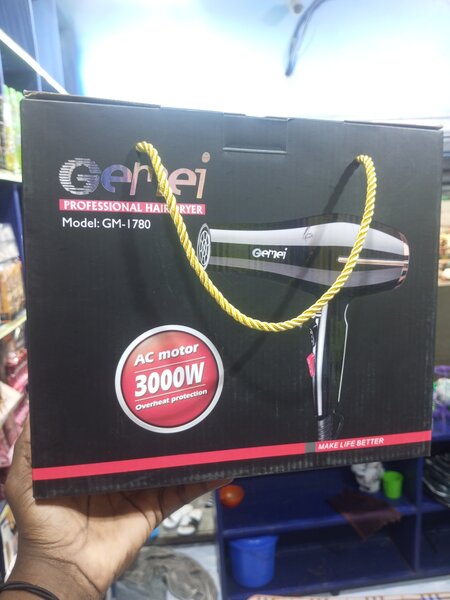 Sèche-cheveux professionnel 3000W