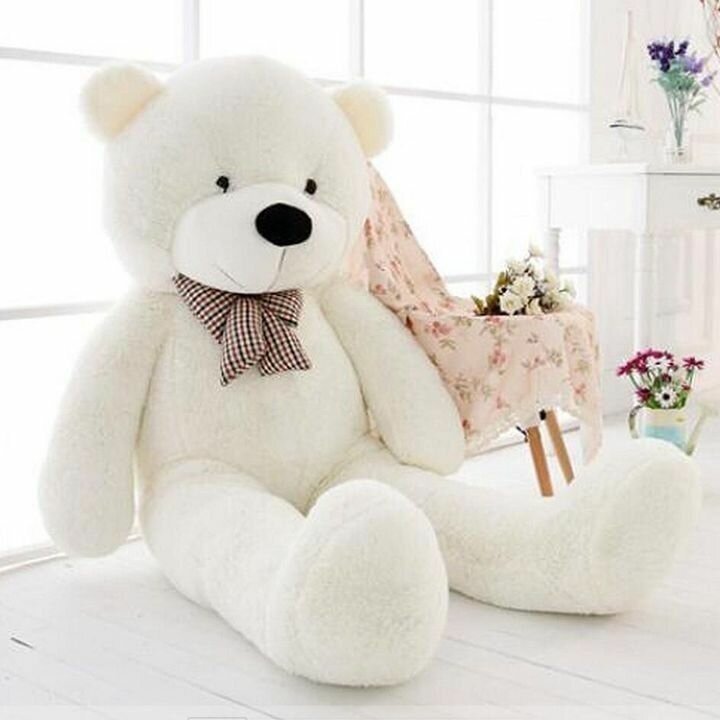 Teddy bear