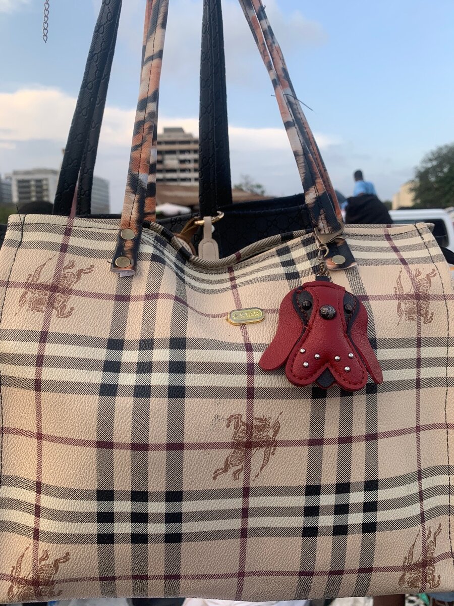Ladies bag