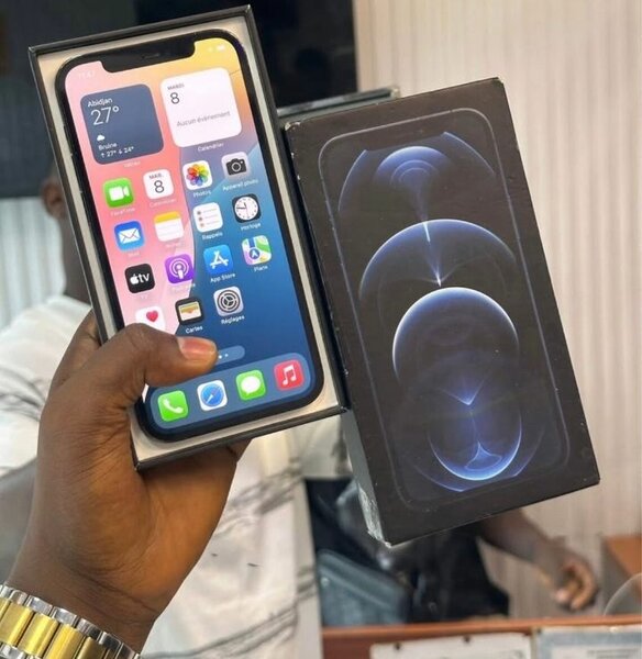 iPhone 12 Pro Max 256Go Bleu