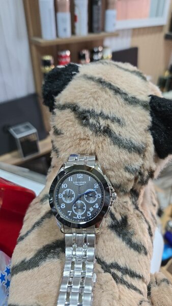 Montres élégantes en acier