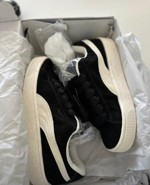 Puma suede XL and adidas campus