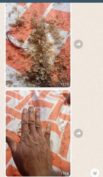 Kit Mami goudron, fards