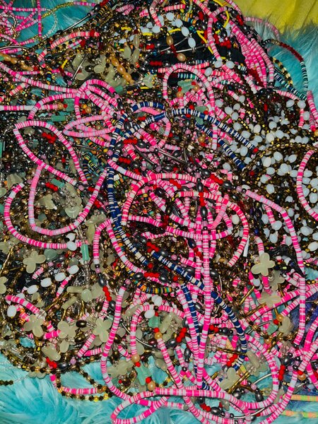 Baya pour les reins tout types