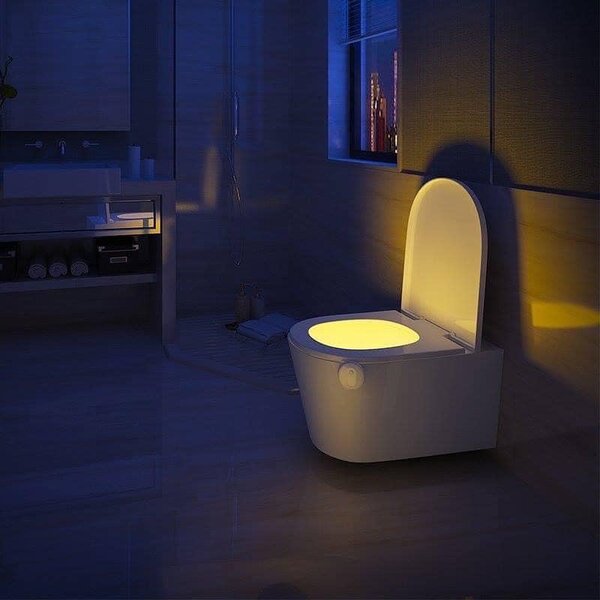 Motion sensor water closet light