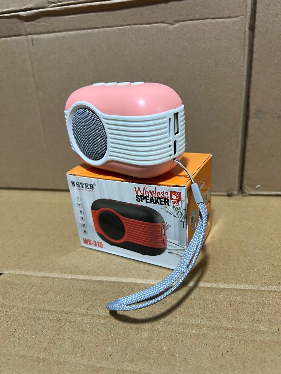 Enceinte Bluetooth WSTER WS-315