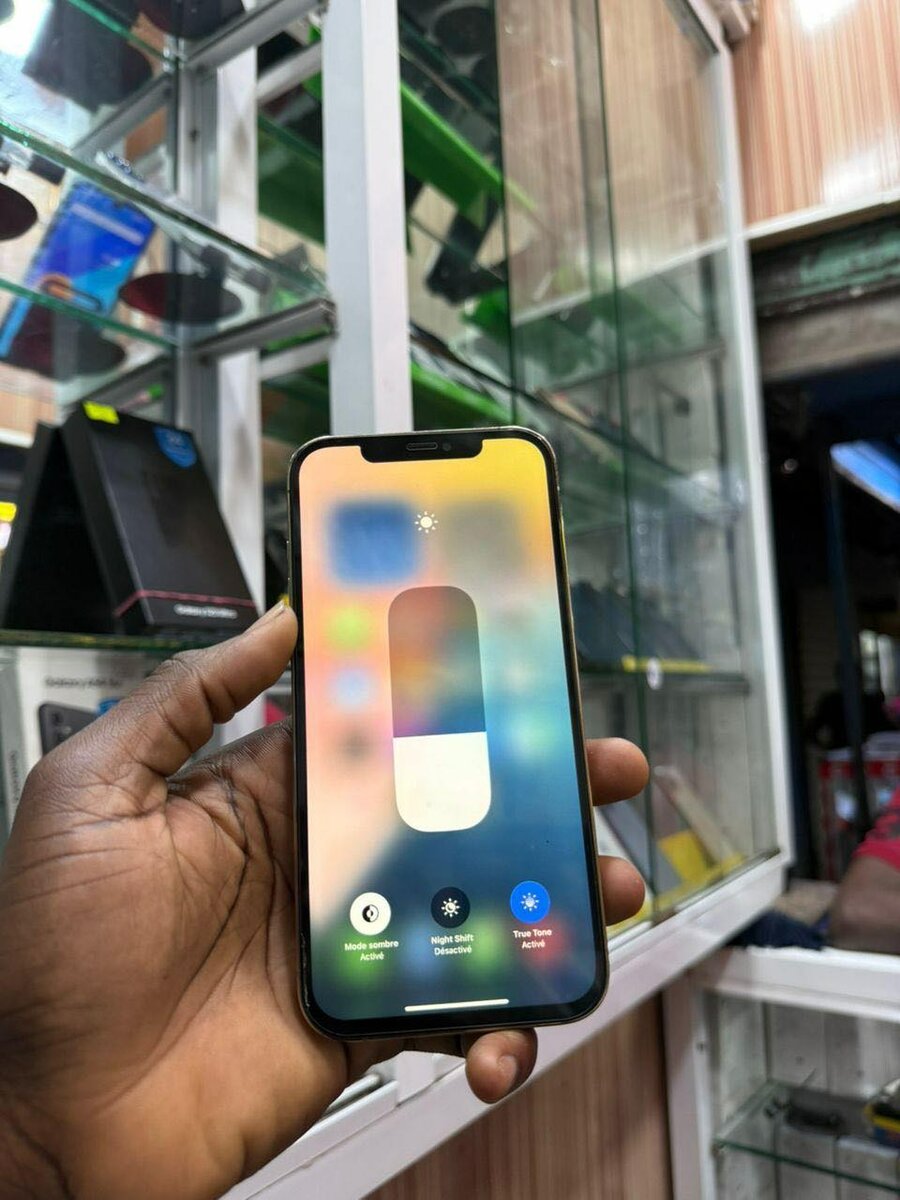 iPhone 12 Pro Max sans id