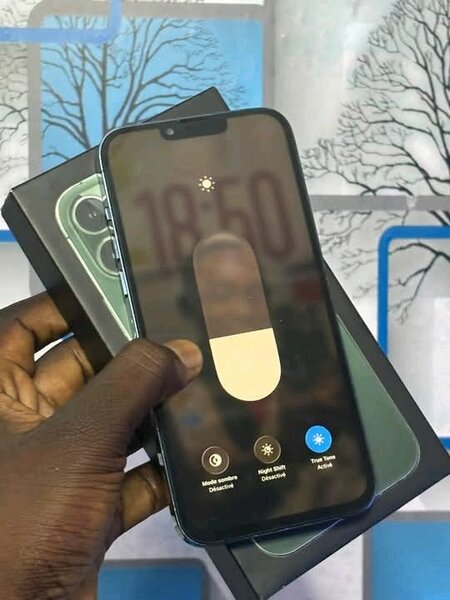 Smartphone Apple avec Caméra Avancée