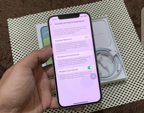 iPhone 12 Mini Vert 64Go