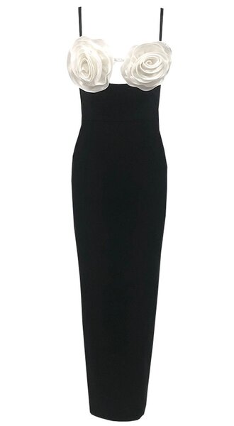 Bodycon dresss