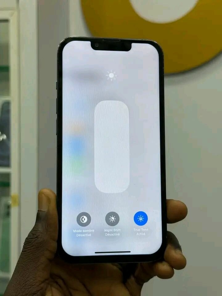 iPhone 14 Pro Max Gris