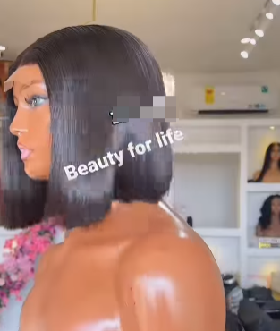 Vietnamese super double drawn hair