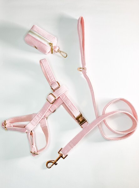 Harness Walk Set for Dogs (Soft Pink)