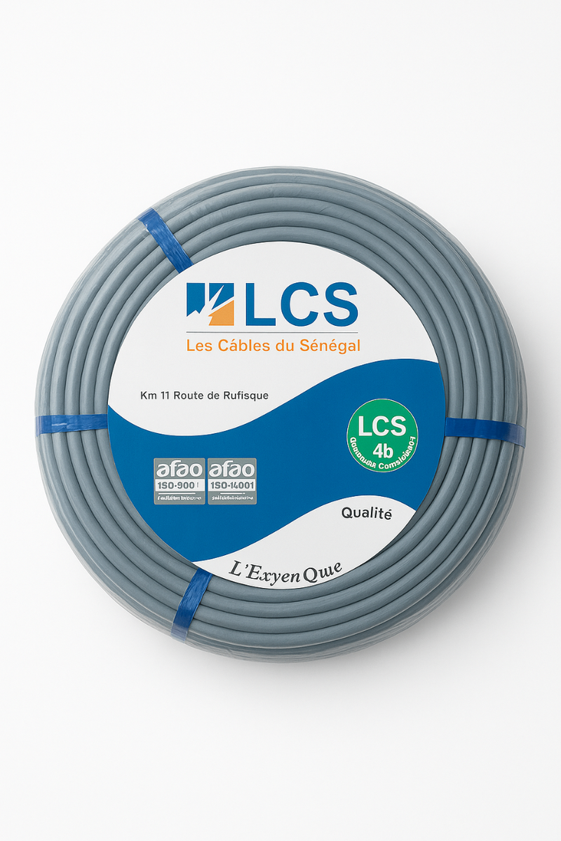 Câble électrique VGV