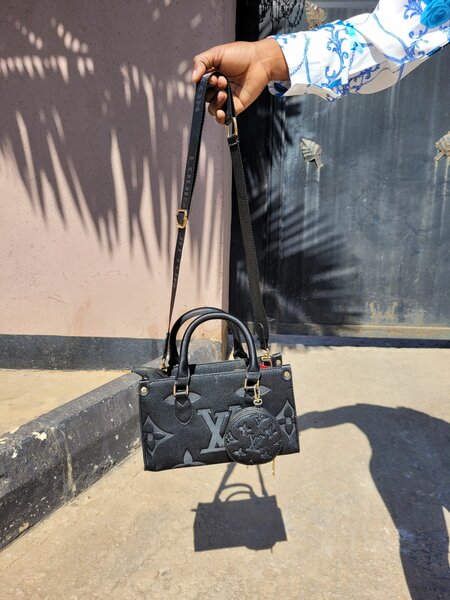 Louis Vuitton handbags