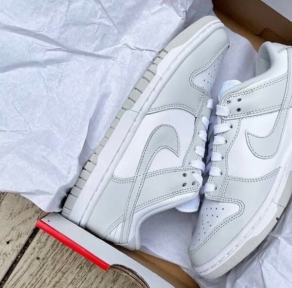Nike sb