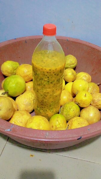 Jus de Fruits de la Passion Frais