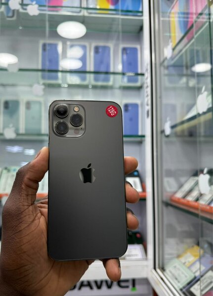 iPhone 12 Pro Max Gris