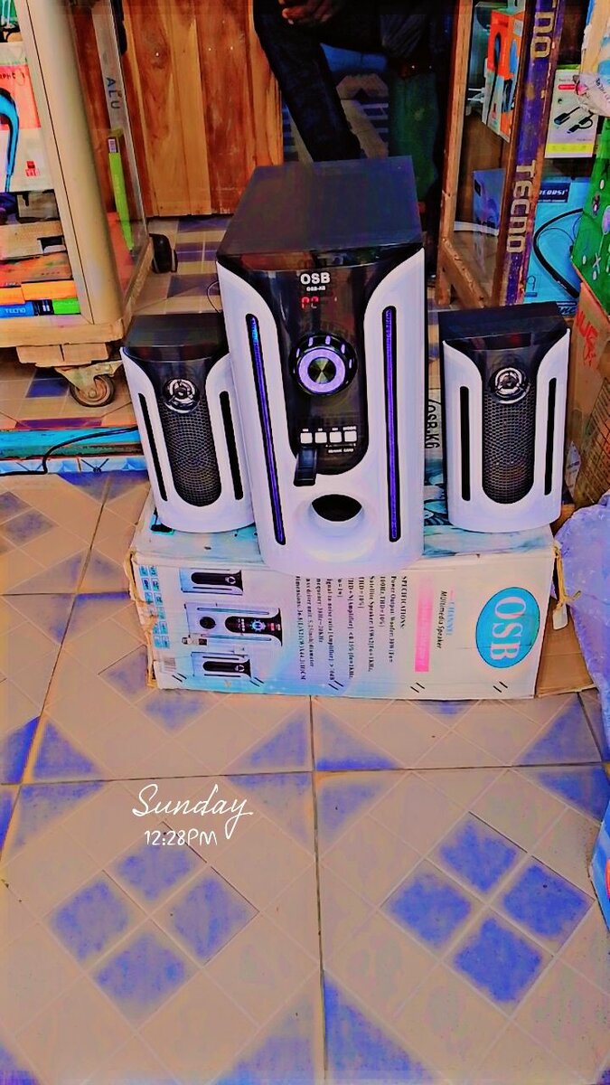 Système de Haut-parleurs Puissant