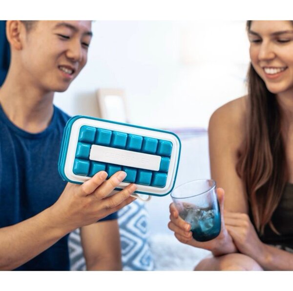 Moules/ Bac à Glaçons Pliable