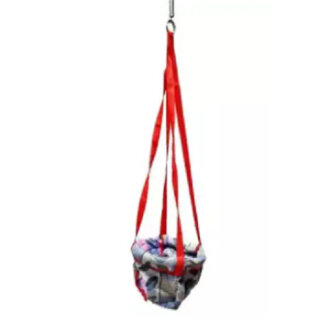 Indoor Hanging Baby Swing