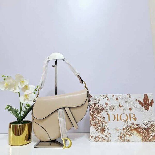 Sac Dior Saddle Iconique