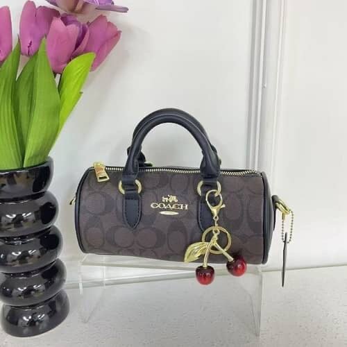Sacs à main Coach élégants