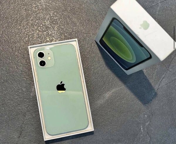 iPhone 12 Vert Neuf
